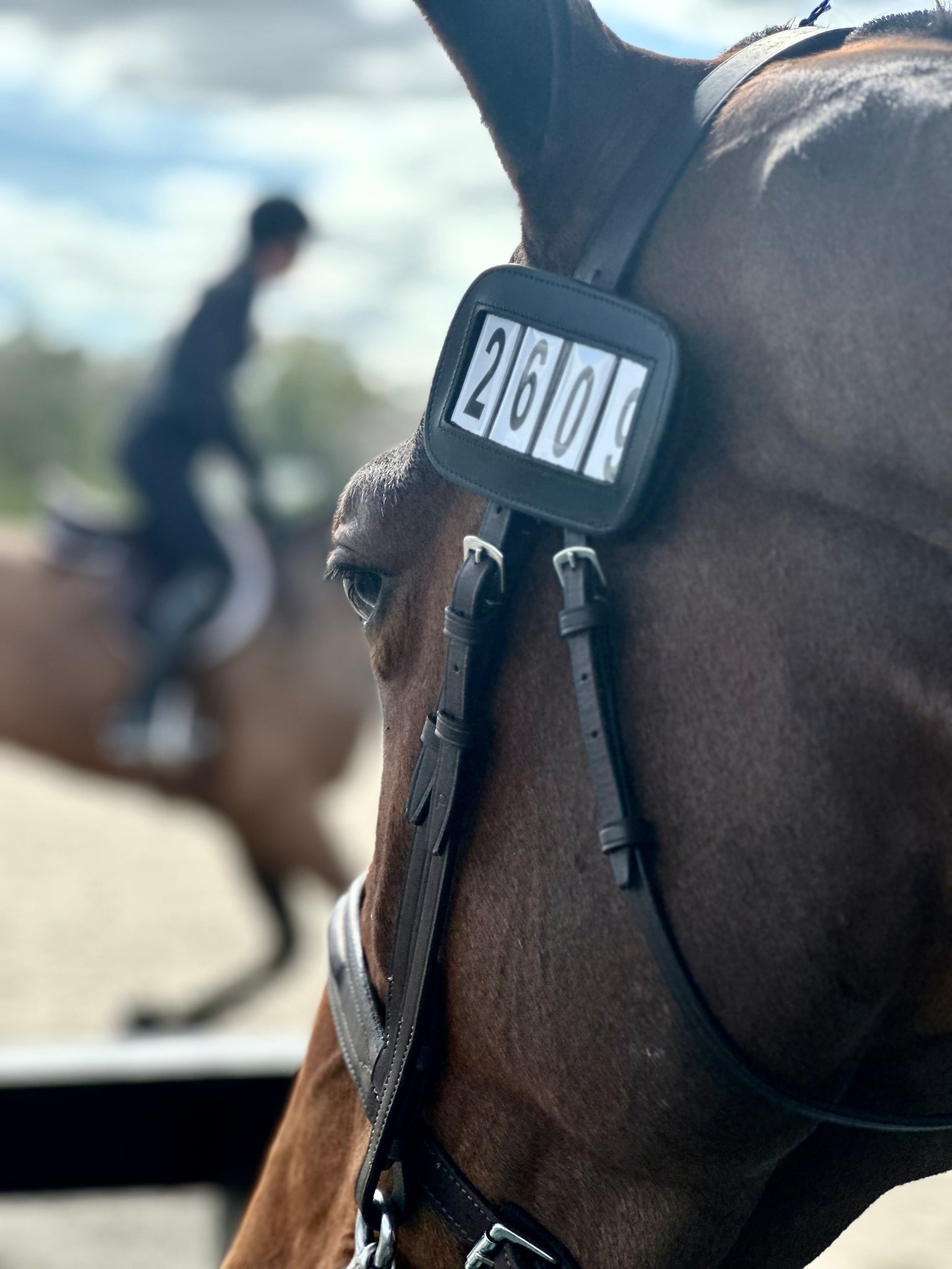 pro4mance-i-d-black-qty-2-4-digit-ace-equestrian for Free Printable Horse Show Numbers PRO4MANCE | # I.D. - Black (Qty. 2, 4-digit) – ACE Equestrian for Free Printable Horse Show Numbers